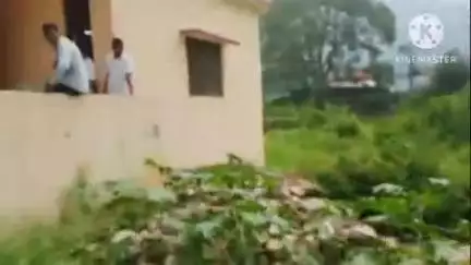 चौखुटिया: निराश्रित जानवरों के साथ महिलाएं पहुंची नगर पंचायत कार्यालय चौखुटिया, किया धरना प्रदर्शन