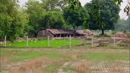 महाराजगंज: बछरावां क्षेत्र मे नहरो मे पानी की जगह उड़ रही है धूल,धान की नर्सरी के साथ पिपरमेंट की खेती हो रही बर्बाद #Jansamasya