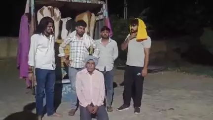 बुहाना: पचेरी कलां क्षेत्र में गौरक्षकों ने गौ तस्करी कर ले जाई जा रही गोवंश से भरी पिकअप को पकड़ा, पुलिस में दी रिपोर्ट