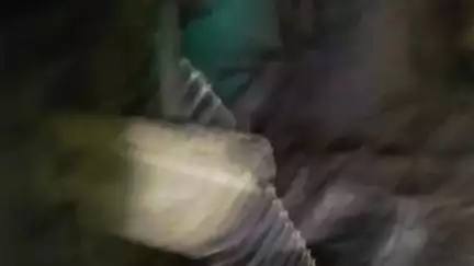 মাদারিহাট: রবিবার রাতে লঙ্কাপাড়া চা বাগানে হাতির হানায় আহত হলেন এক মহিলা