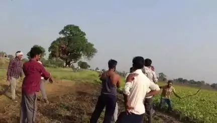 नरसिंहपुर: सागौनी खेत में जमीनी विवाद पर दो पक्षों में मारपीट, घटना का वीडियो सोशल मीडिया पर वायरल