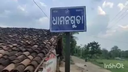 ଲାଞ୍ଜିଗଡ: ଧାମନଗୁଡା ଠାରେ ଅଭାବନୀୟ ଘଟଣା, ଓହଳି ଥିବା ବିଦ୍ୟୁତ ତାର ସଂସ୍ପର୍ଶରେ ଆସି ବଳଦ ମୃତ