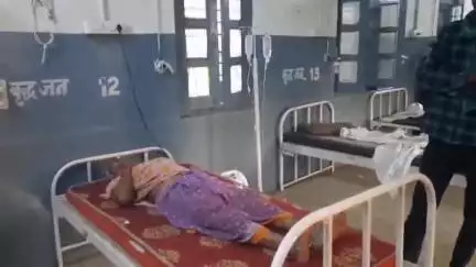 बटियागढ़: मगरोंन में खेत में काम कर रही एक महिला को सांप ने काटा, सिविल अस्पताल में कराया गया भर्ती