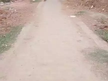 ग्राम पंचायत बम्भौरी में इंटरलॉकिंग वाला निर्माण का कार्य नहीं करव