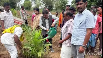 लोहंडीगुडा: ग्राम पंचायत टाकरागुड़ा में 'मेगा प्लांटेशन ड्राइव' का आयोजन, विधायक विनायक गोयल भी हुए शामिल