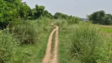 ବସ୍ତା: ରେଣୁପଦା ସ୍ଥିତ କୁଲ୍ହାସାହିର ରାସ୍ତା ସମସ୍ୟା ନେଇ ଗ୍ରାମବାସୀଙ୍କ ପ୍ରତିକ୍ରିୟା #jansamasya
