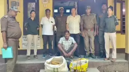 লংকা: ২৭নং ৰাষ্ট্ৰীয় ঘাইপথৰ পৰা লামডিং আঞ্চলিক বন বিভাগে জব্দ কৰে প্ৰায় ২লক্ষাধিক টকাৰ অধিক বগা চন্দন