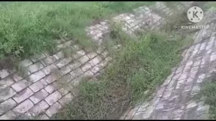 खानपुर: पनवाड़ क्षेत्र के हरिश्चंद्र सागर की नहर मलबे से अटी पड़ी, धान के लिए अगले महीने छोड़ा जाएगा पानी