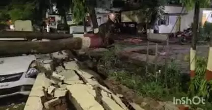 लातूर: रात्रीच्या वादळ वाऱ्यामध्ये गांधी चौक पोलिस ठाण्यात भले मोठे झाड कोसळून पोलिस ठाण्याची संरक्षक भिंत कोसळली