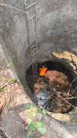 ସୋନପୁର: ଚନ୍ଦଲି ଗ୍ରାମର ଏକ ପରିତ୍ୟକ୍ତ କୁଅରୁ ବଣ ବିଲୁଆକୁ ଉଦ୍ଧାର କଲା ଅଗ୍ନିଶମ ବାହିନୀ