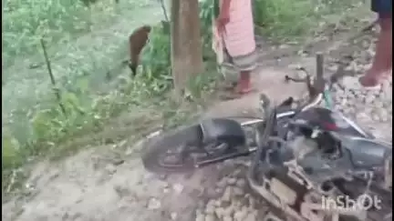 মানকাচৰ: কুমৰীত বাইক দুৰ্ঘটনা,আহত এজন বাইক আৰোহী