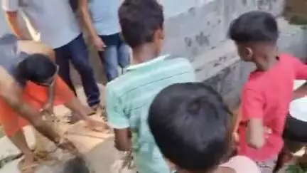 झाझा: झाझा के गणेशी मंदिर के पास 5 फीट गहरे नाले में गिरा बसहा बैल, लोगों ने रेस्क्यू कर सुरक्षित बाहर निकाला