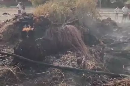 सहावर: सादिकपुर गांव में आग लगने से लाखों का हुआ नुकसान