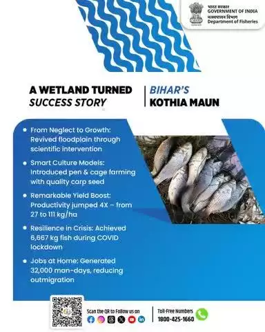 Kothia Maun, Bihar- From Forgotten Wetland to Fisheries Powerhouse!
Scientific fish farming turned the tide- 4X productivity, 32,000 jobs, and resilience even during lockdown.
A true model of rural revival through innovation