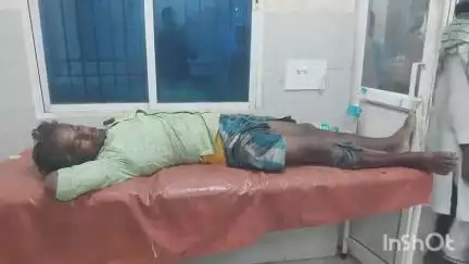 अररिया: काकन चौक पर ऑटो और स्कॉर्पियो की टक्कर में ऑटो चालक घायल, इलाज जारी