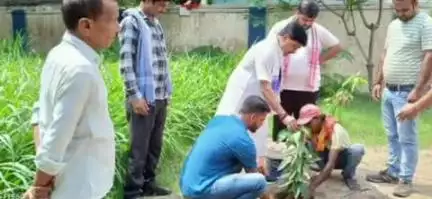 बेरमो: फुसरो में पूर्व सांसद रविन्द्र कुमार पाण्डेय ने किया वृक्षारोपण