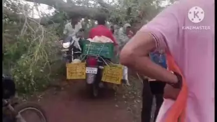सोनेसरार के पास राजनांदगांव रोड पर तेज आंधी तूफान के चलते सड़क पर गिरा पेड़, आवागमन बाधित