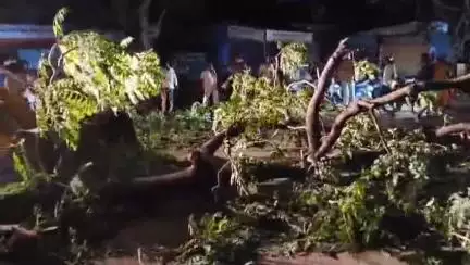నిర్మల్: నిర్మల్‌లో ఈదురు గాలుల బీభత్సం: ఆటోపై చెట్టు పడి నలుగురు మహిళలకు తీవ్ర గాయాలు