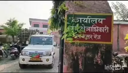 लक्सर: भोवावाली गाँव में अवैध पेड़ कटान प्रकरण पर DFO ने SDO को जांच के आदेश जारी किए