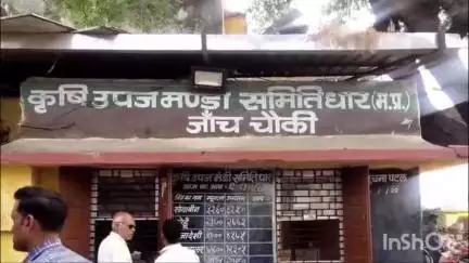 धार: धार कृषि उपज मंडी में सोमवार को सोयाबीन की 4621 बोरी की आवक, भाव में रही तेजी