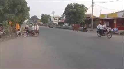 ગઢડા: તાલુકાના ઢસા ગામે જુગાર રમતા 4 ઈસમો રોકડા રૂ.13,100 રૂપિયાના મુદ્દામાલ સાથે પોલીસ ના હાથે ઝડપાયા