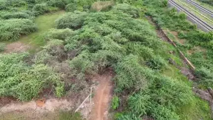 కాకినాడ రూరల్ లో  నిర్మానుష్య ప్రాంతాలలో డ్రోన్లు తో జల్లెడ పట్టిన ఇంద్రపాలెం పోలీసులు