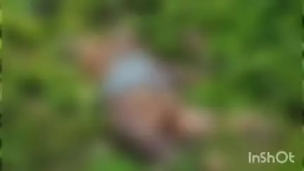 ডোমজুড়: ডোমজুড় থানা অন্তর্গত রুদ্রপুর এলাকা থেকে এক ব্যক্তির পচাগলা মৃতদেহ উদ্ধার করল পুলিশ