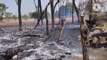 पिछोर: देवगढ़ में खेत की झोपड़ी में आग, दो भैंसों की मौत, पांच झुलसीं, एक युवक घायल