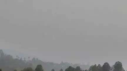 थल: थल हजेती के जंगलों में धधकी आग