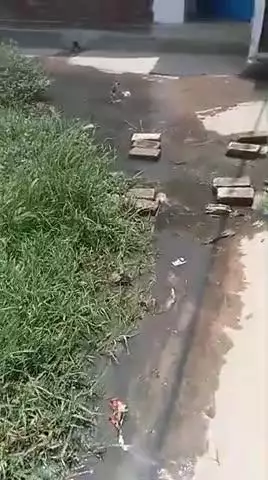 जनपद इटावा के विकास खण्ड महेवा की ग्राम पंचायत नवादा खुर्द कला के मजरा नगला फतेह तहसील चकरनगर में कई बार ग्राम प्रधान व
