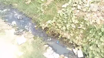 अमरिया: अमरिया क्षेत्र गांव गिधौर में पानी निकासी के लिए नाली नहीं, घरों के पास जमा हो रहा गंदा पानी, ग्रामीण परेशान #jansamasya
