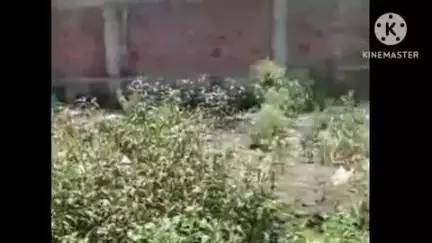 हुज़ूर: भोपाल के सूखीसेवनिया में लापता दो बच्चों के शव खदान में मिले