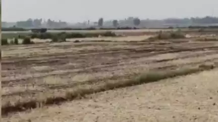गोंडा: खरगूपुर थानाक्षेत्र के गौनरिया में जंगली जानवर का वीडियो वायरल, अबोध बच्चे को निवाला बनाने पर ग्रामीण दहशत में