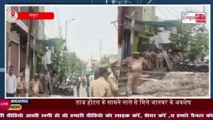 मथुरा: ताज होटल के सामने नाले से मिले जानवर के अवशेष, मचा हड़कंप
#मथुरा #ताज #होटल #जानवर #अवशेष