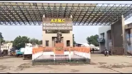 ગોંડલ માર્કેટિંગયાર્ડમાં જણસીની આવક:મગફળી-ડુંગળીની આવક ચાલુ, ચણા-ધાણાની આવક બંધ કરાઈ