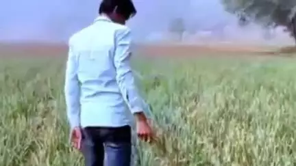 नूह: प्रधानमंत्री फसल बीमा योजना में फर्जीवाड़े पर बैंक कर्मचारियों के खिलाफ मामला दर्ज, नूह DSP की प्रतिक्रिया