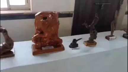 लालसोट: लालसोट में प्राकृतिक काष्ठ शिल्प कला प्रदर्शनी का आयोजन, एसीजेएम जयपुर व एसडीएम ने किया अवलोकन