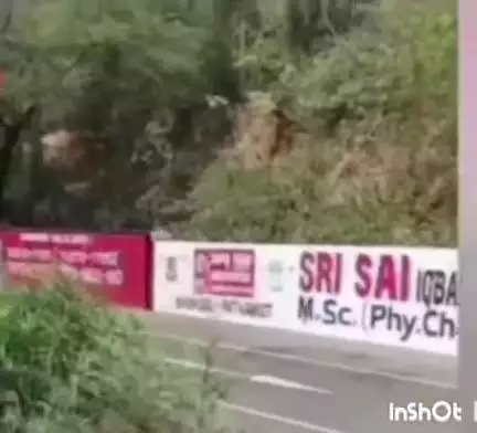 इंदौरा: डमटाल की पहाड़ियों में लगी आग पर अग्निशामक विभाग ने पाया काबू, स्थानीय एक व्यक्ति ने दी जानकारी