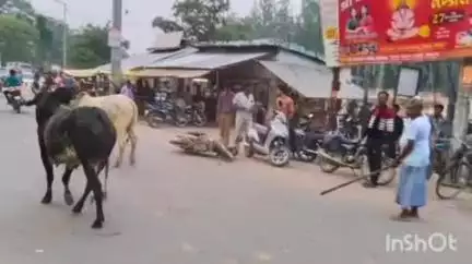 नानपारा: रिसिया में दो साड़ियों की टक्कर से दुकान और बाइक टूटी, कई लोग घायल, प्रशासन से कार्रवाई की मांग