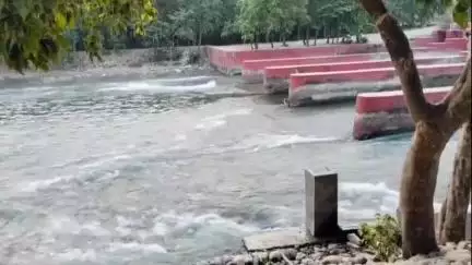 सहारनपुर: चिलकाना रोड स्थित बड़ी नहर में नहाने गए चार युवकों की डूबने से हुई मौत, परिजनों में मचा कोहराम, पुलिस मौके पर