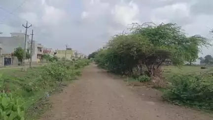 મેંદરડા: મેંદરડા થી વિસાવદર રોડ પર બંને સાઈડ રોડ પર એકદમ ખાટા બાવળ ઊગી ગયા છે તે વહેલી સર હટાવવામાં આવે તેવી માંગ #Jansamsya