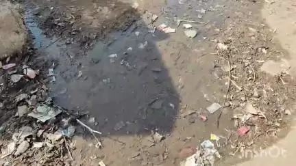 खकनार: ग्राम घाघरला में गंदगी का अंबार, मच्छरों का कहर – ग्रामीण बोले, जिम्मेदार सोये हुए।
#jansamsasya