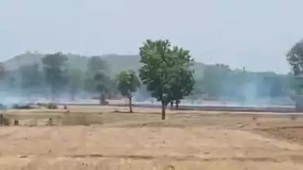 बड़ागांव धसान: बड़माड़ई गांव के खेतों में लगी आग, नरवाई जलाने पर कलेक्टर ने लगाया था प्रतिबंध