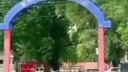 मलकापूर: शहरातील तहसील चौक परिसरात क्षुल्लक कारणावरून मारहाण केल्याप्रकरणी ३ जणांविरुद्ध गुन्हा दाखल
