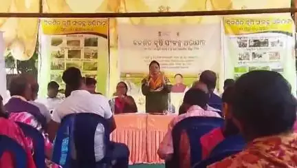 କଣ୍ଟାମାଳ: ମନମୁଣ୍ଡା ଠାରେ ବିକଶିତ କୃଷି ସଂକଳ୍ପ ଅଭିଯାନ କାର୍ଯ୍ୟକ୍ରମ ଅନୁଷ୍ଠିତ