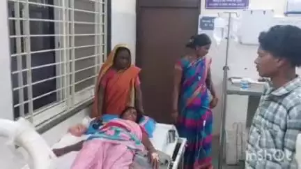 घोड़ाडोंगरी: पिपरी गांव में घरेलू विवाद में पति ने पत्नी से की मारपीट, महिला घोड़ाडोंगरी अस्पताल में भर्ती