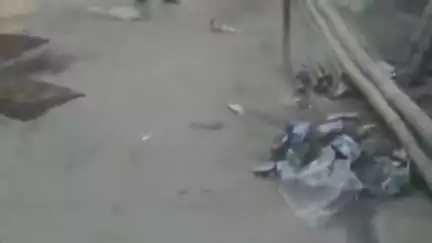 बेनीपुर: बकरिद पर बेनीपुप में सफाई न होने से अल्पसंख्यक समुदाय में दिखा आक्रोश