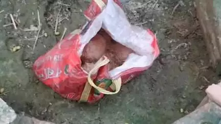 খড়গ্রাম: মারগ্রাম পূর্ব পাড়ায় বাড়ির বাথরুম থেকে ব্যাগ ভর্তি বোমা উদ্ধার, গ্রেপ্তার ১
