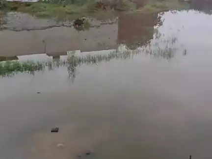 Bari Jhajjar ndkuejodydkjdnhkdjdigjnff