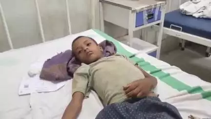 जहानाबाद: जलावन लाने गए मासूम को जहरीले सांप ने काटा, सदर अस्पताल में इलाज जारी